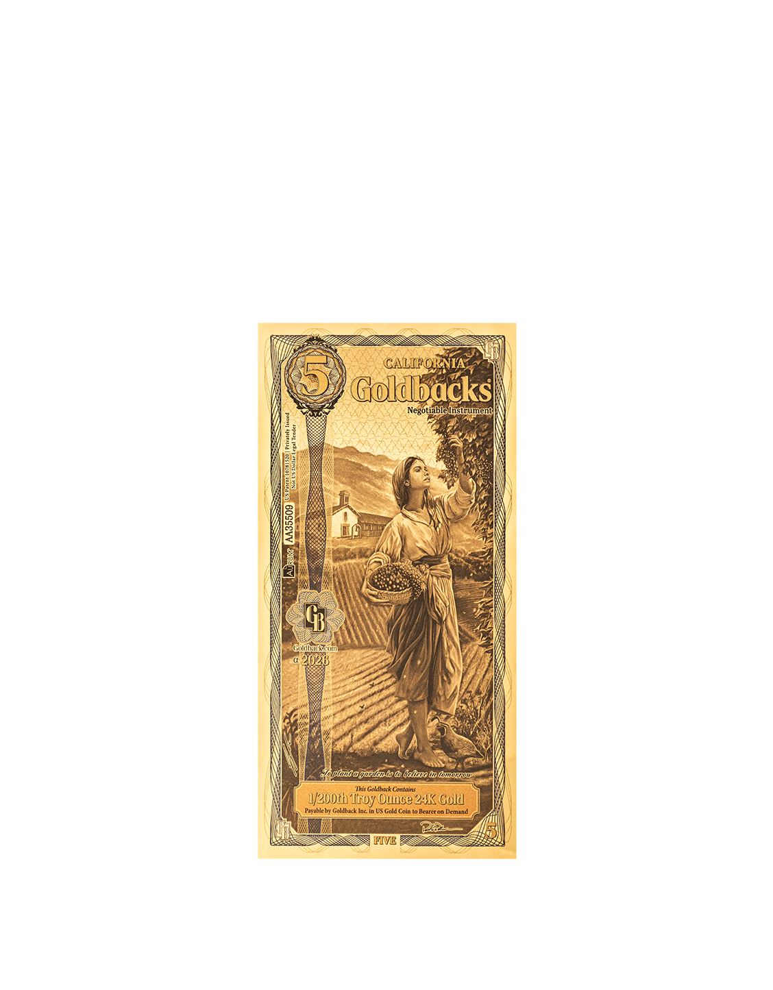 5 California Goldback - Alpha Edition (α) – view 2