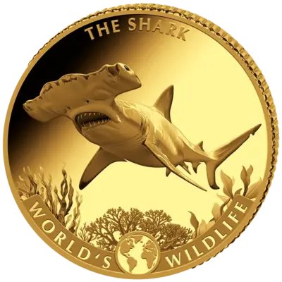 2026 Congo Shark – World's Wildlife 0.5g Gold Proof Coin